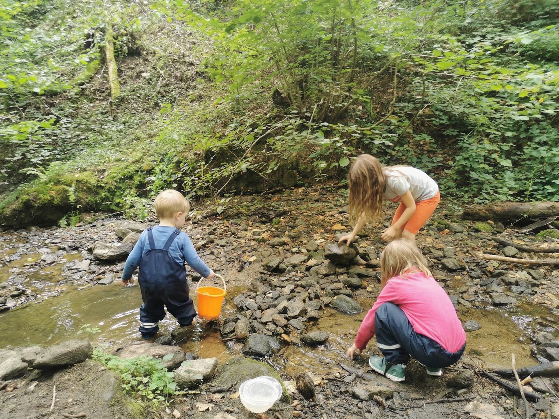 Kinder am Bachplatz im Wald
