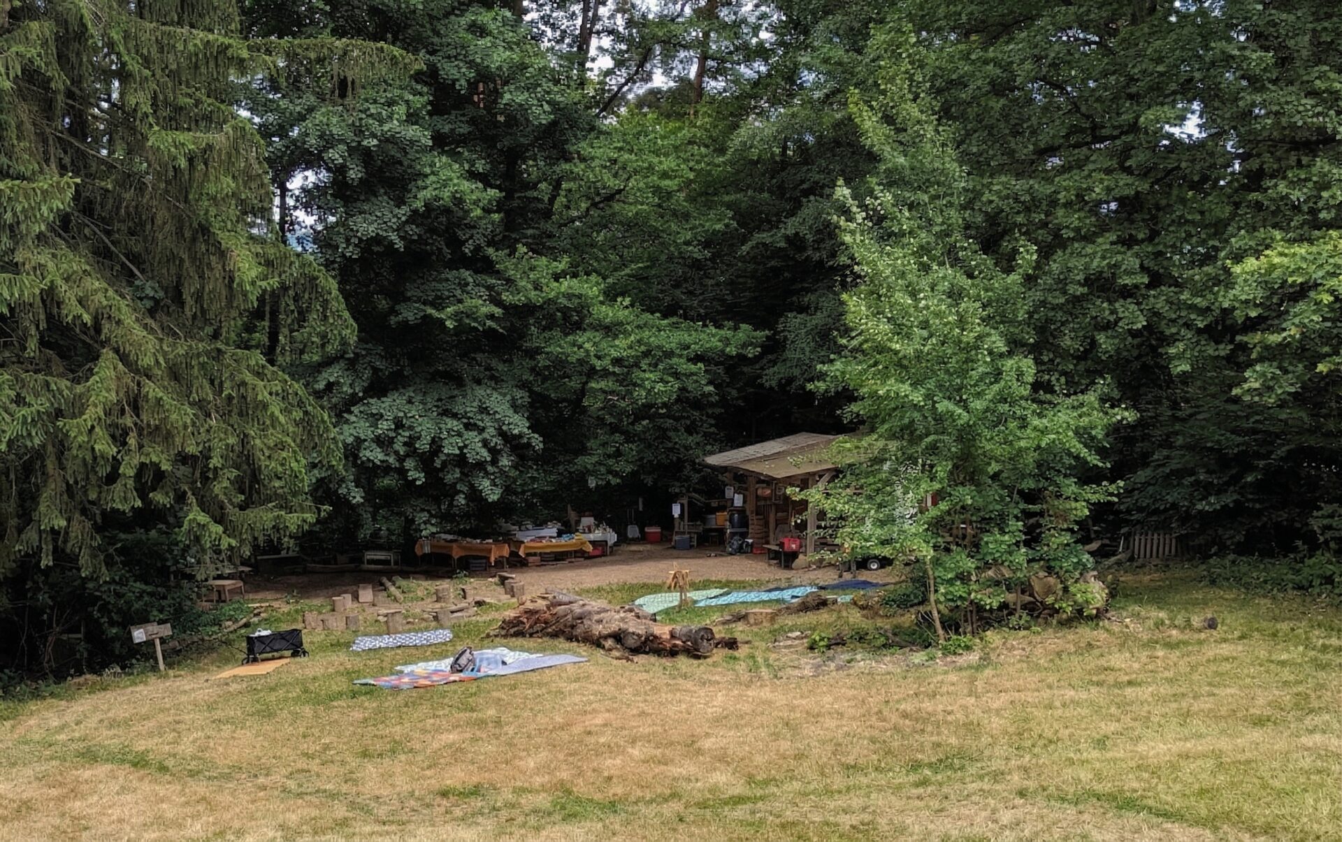 Bauwagenplatz