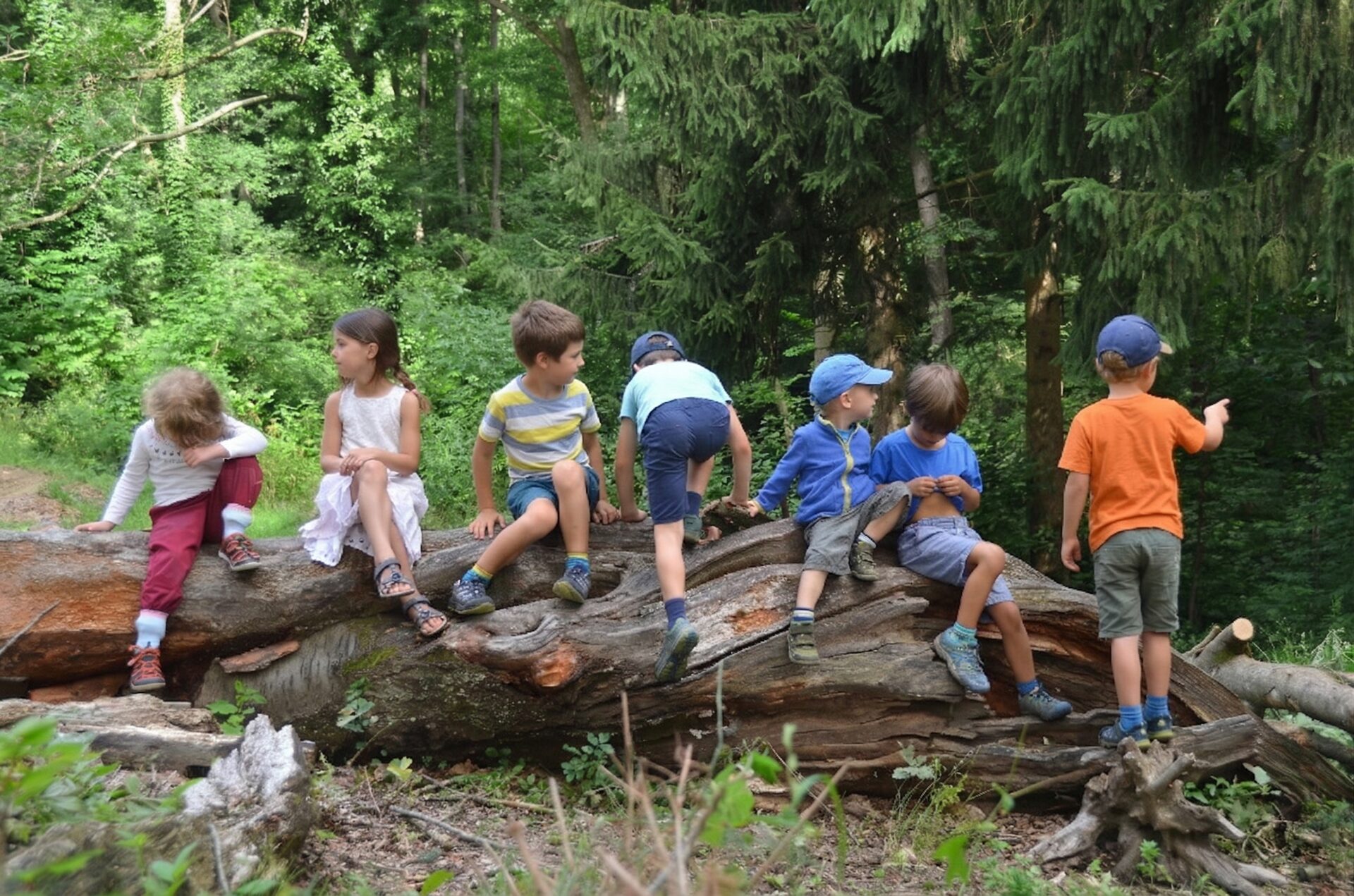 Kinder sitzen und klettern auf einem großen Baumstamm im sommerlichen Wald