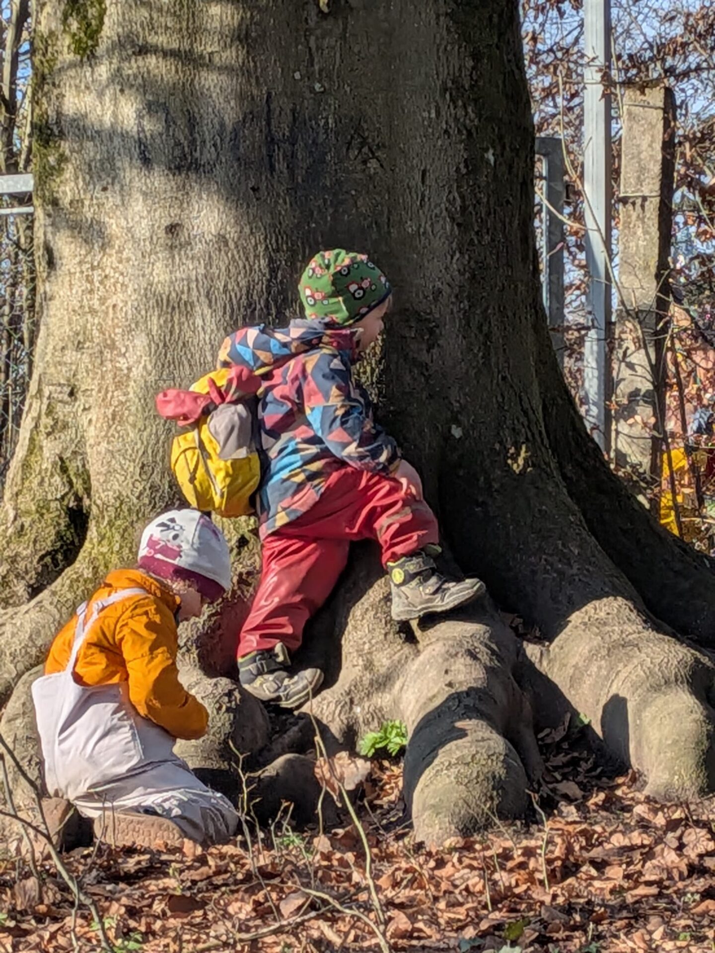 Kleine Waeldchen